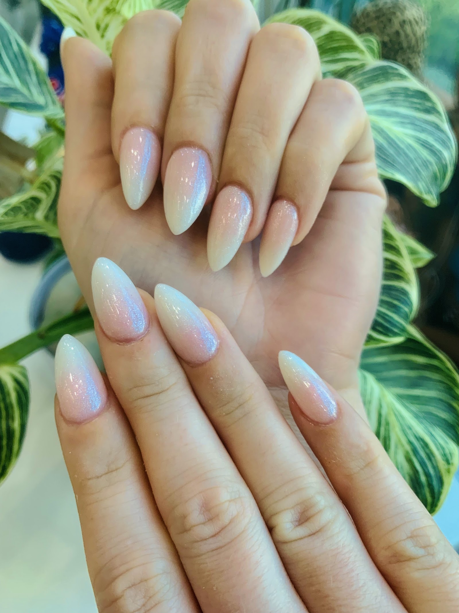 Lush Nail Bar The Battery nail photo 4